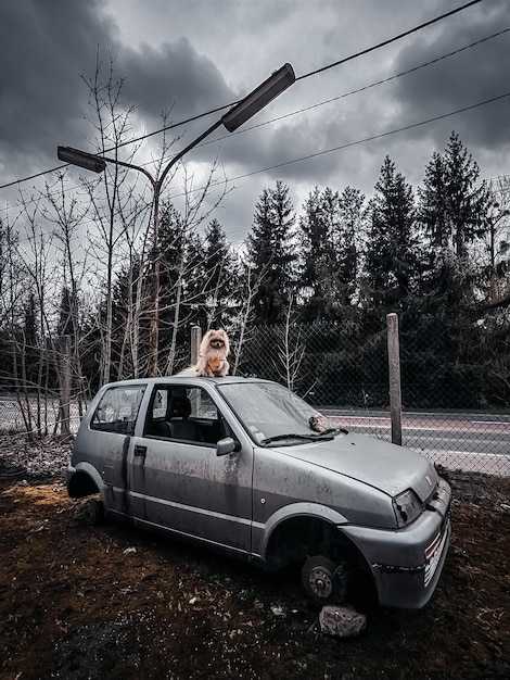 Установка заниженных пружин: пошаговая инструкция