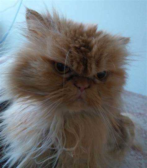 Запись аудио с внешних источников