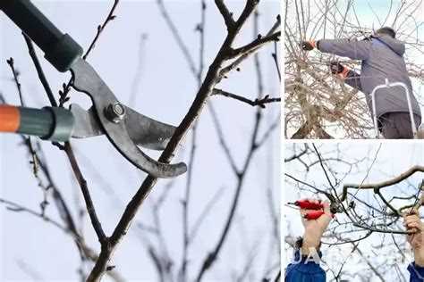 Применение